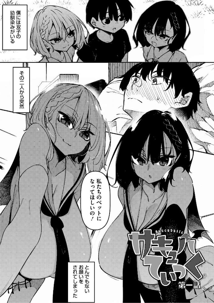 サキュバてぃっく【単行本】