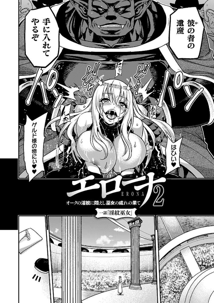 エローナ2 オークの淫紋に悶えし巫女の成れの果て【山田ゴゴゴ】 (p3)