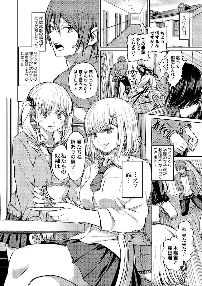 ざ・ふぃめーる・どみねーしょん