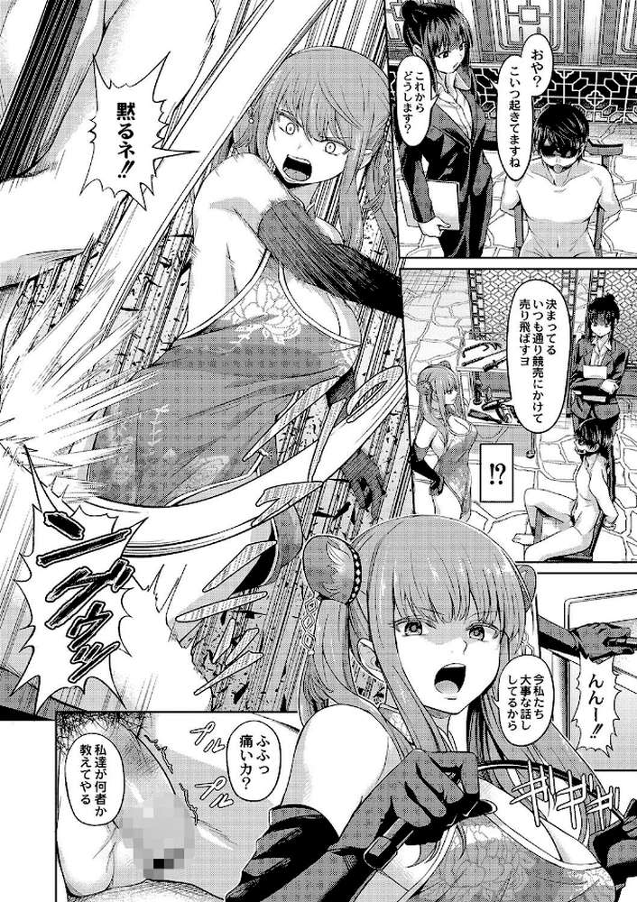 ざ・ふぃめーる・どみねーしょん