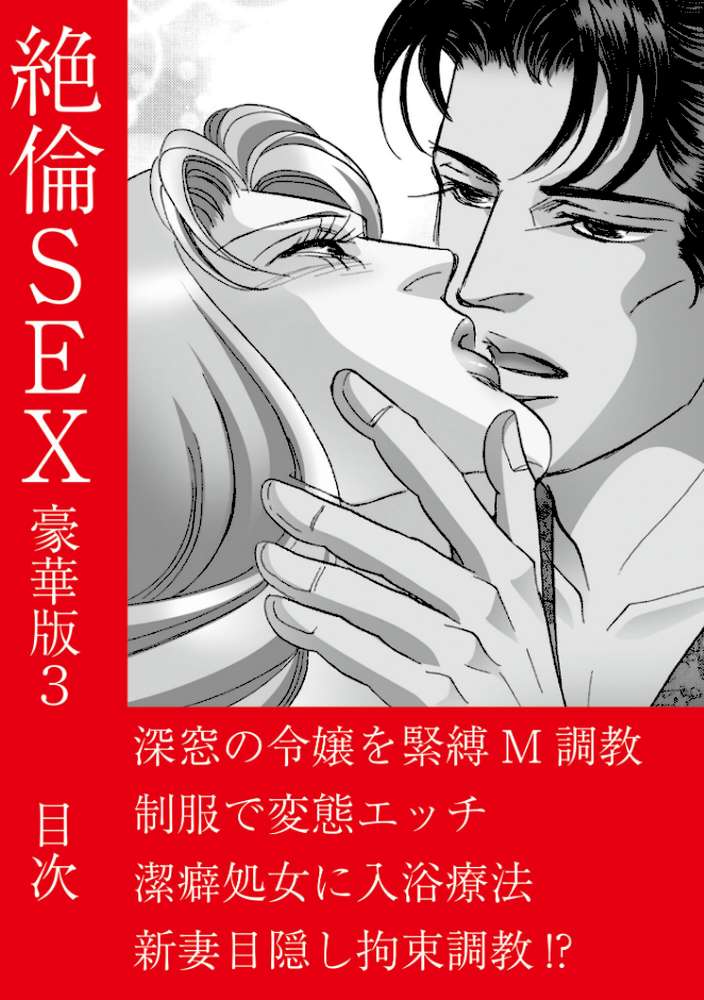 絶倫SEX 豪華版3【汐見朝子】 (p2)