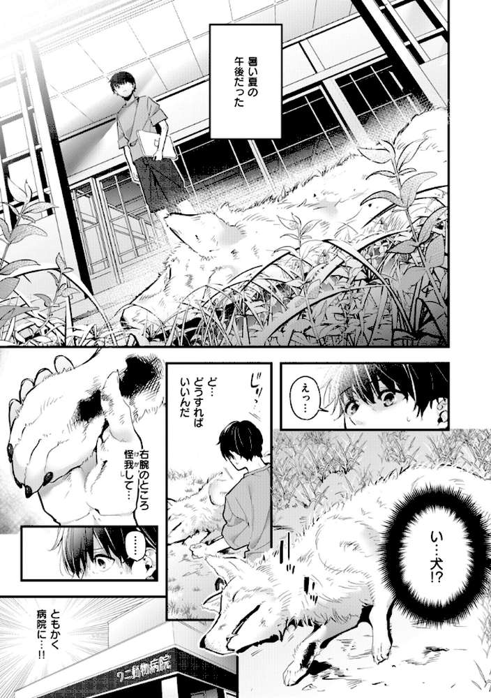 飴色プロローグ【木瀬樹】 (p25)