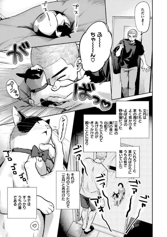 めちゃくちゃになろうよ【どらのやま】 (p33)