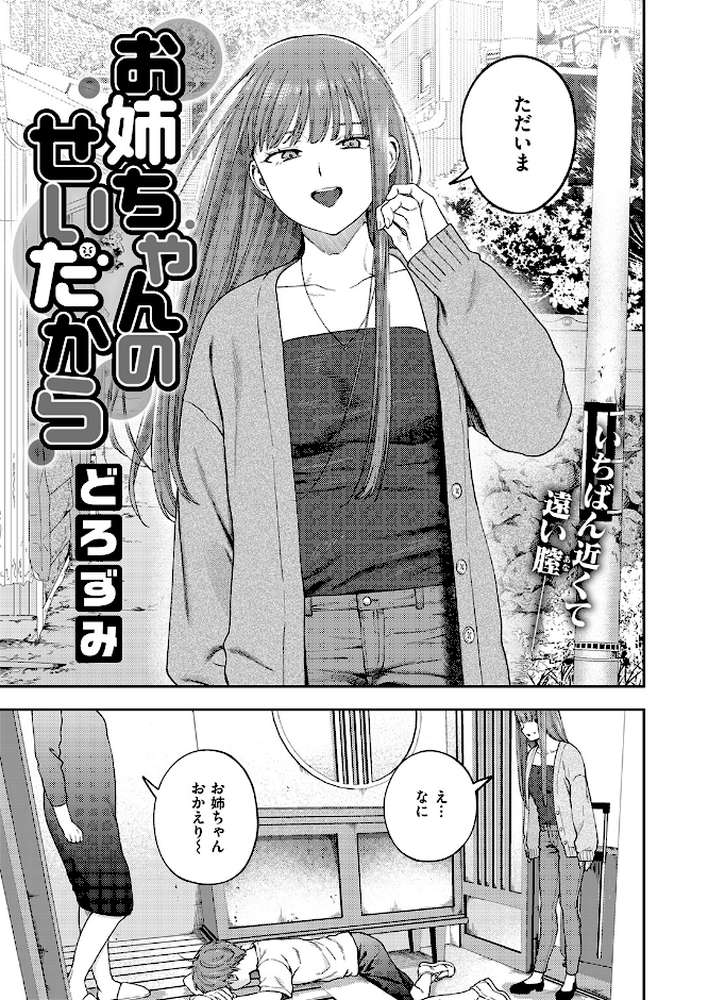 お姉ちゃんのせいだから