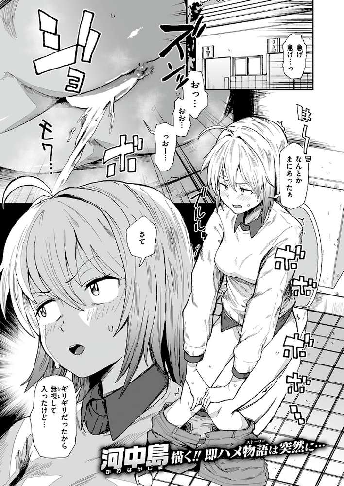 公衆トイレとディルドと変態と私【河中島】 (p2)