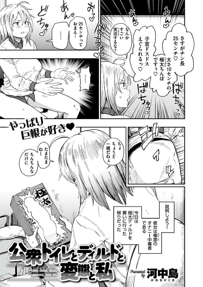 公衆トイレとディルドと変態と私【河中島】 (p4)