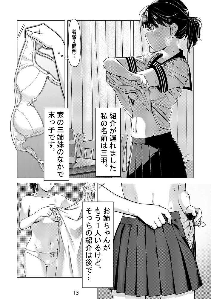 双葉のお話 まとめ1【大人のおもちや】 (p12)