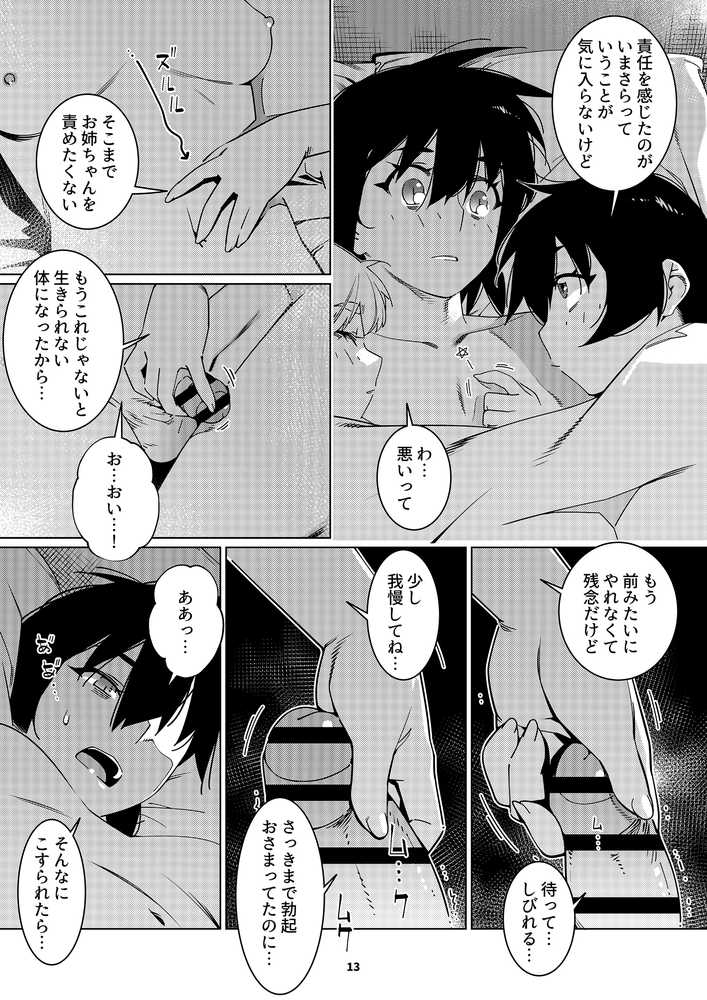 双葉のお話 まとめ5【大人のおもちや】 (p11)