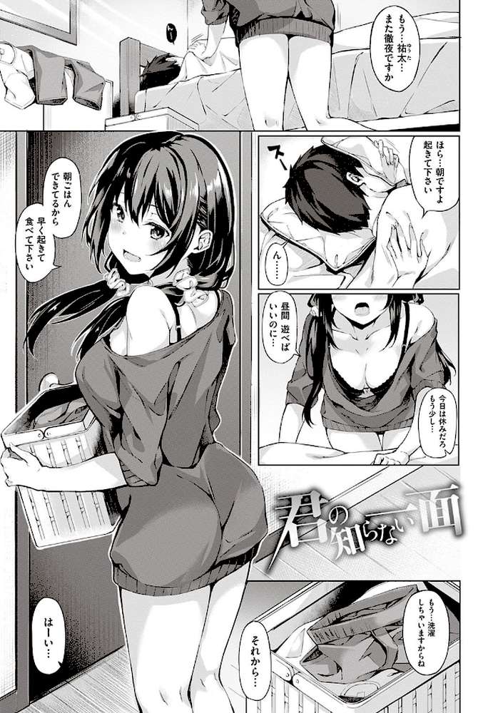 献身ナデシコ【文雅】 (p19)