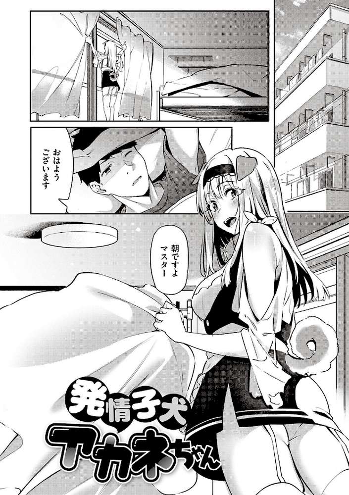 従順ナデシコ 【文雅】 (p19)