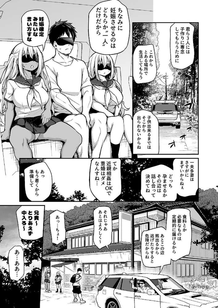 妹と子作りしないと出られない島(3)【あいらんどう】 (p5)